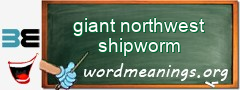 WordMeaning blackboard for giant northwest shipworm